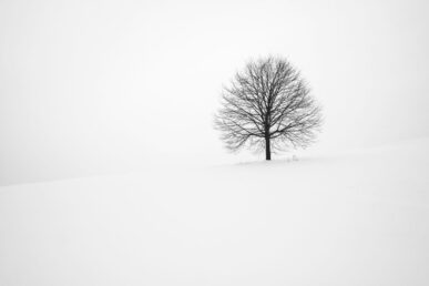 loneliness